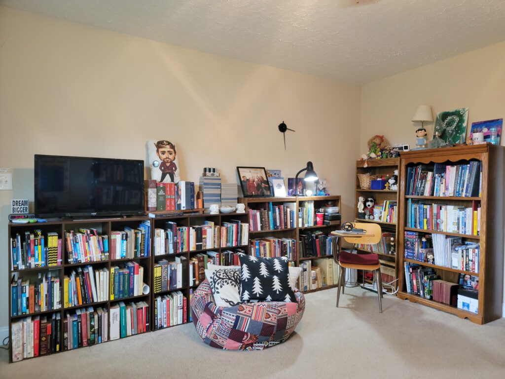 Image shows a room with 2 walls of books, a student desk, and a bean bag chair with pillows in it. The room is bright and cheerful, and there is plenty of open floor space.